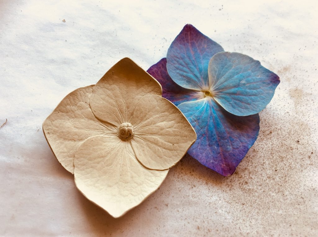 Äkta hortensia och en av silver