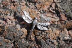 Silverslända
