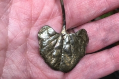 Patinerat blad av silvernjurvinda