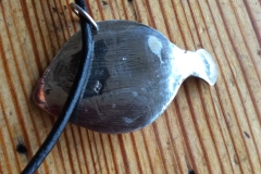 Silverflundra underifrån