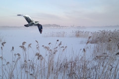 Titta! Jag flyger!