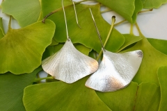 Ginkgo-hängen