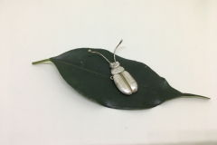Agavebagge nr 4